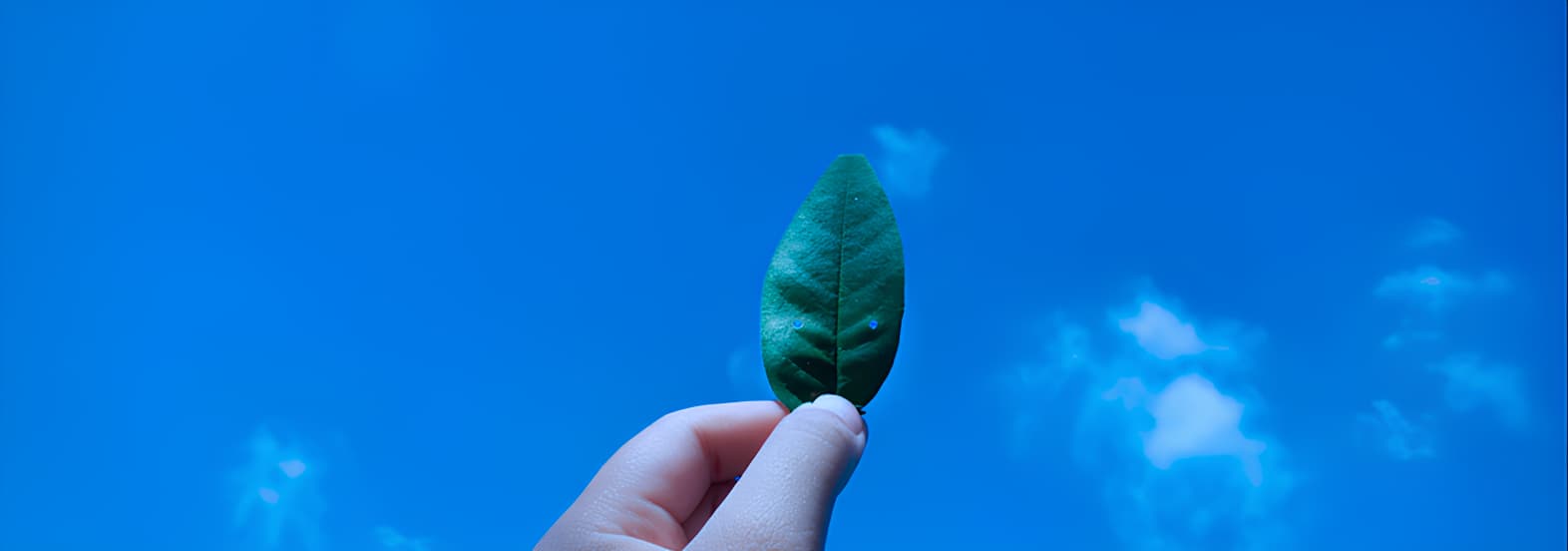 Green Returns-Investor Perspectives on ESG Startups Investments